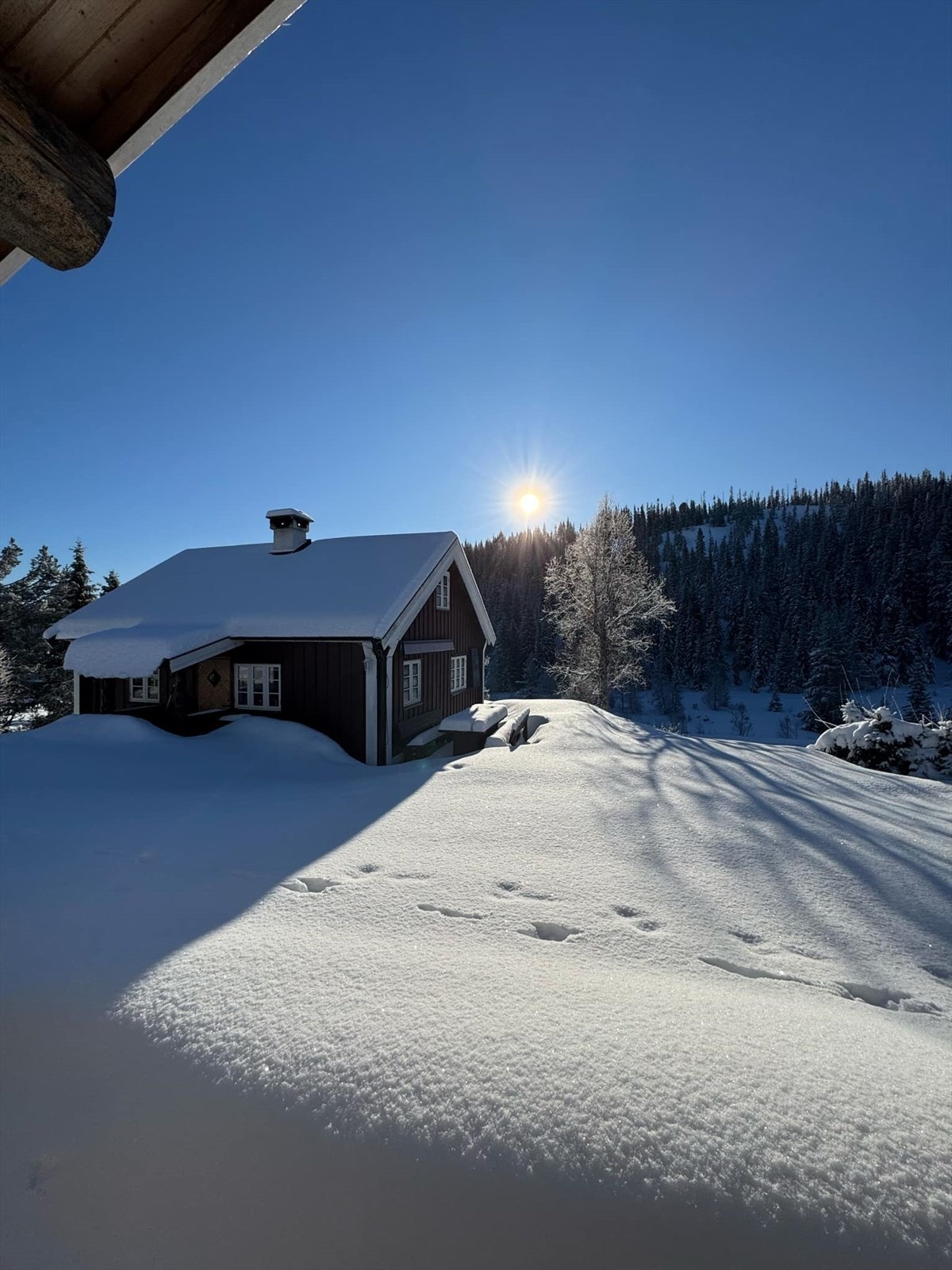 Her kan en glede seg til solrike dager ved hytteveggen, eller ta turen ut for opplevelsesrike turer til fots, på sykkel eller ski. (Selgers foto) Galleribilde