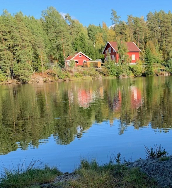 Bildet tatt av selger fra Gravstjern som ligger noen få minutter gange unna. Galleribilde