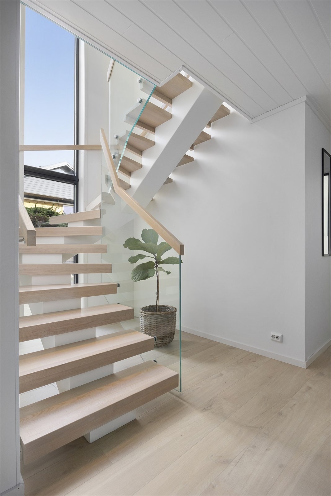 Hall/innvendig gang Galleribilde