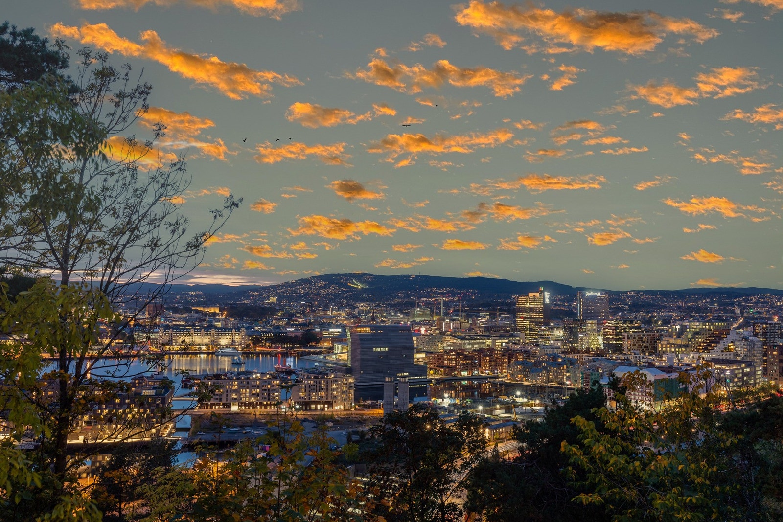 Nærområde. Galleribilde