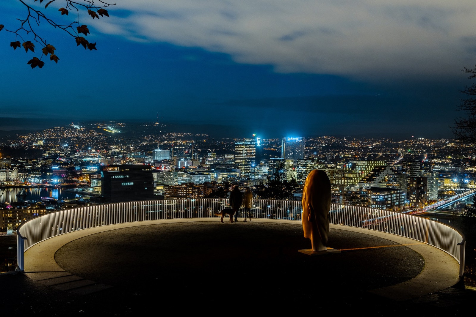 Nærområde. Galleribilde