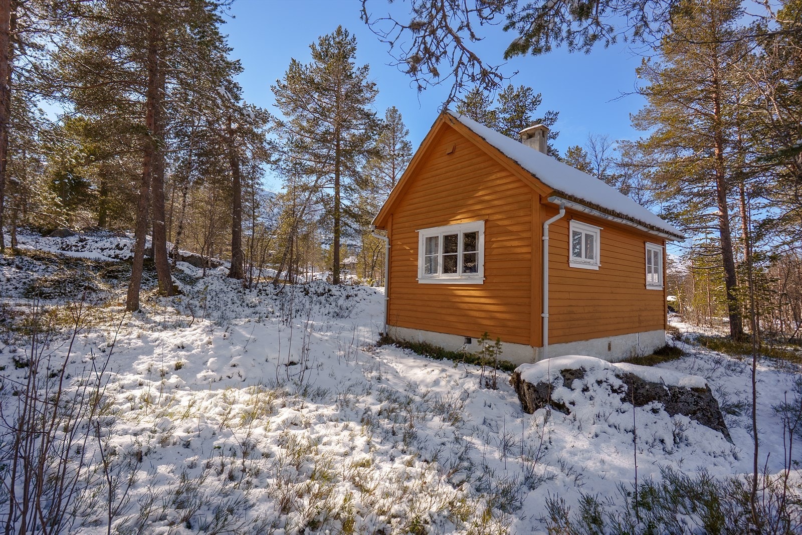Solrik tomt med mange fine uteområder Galleribilde