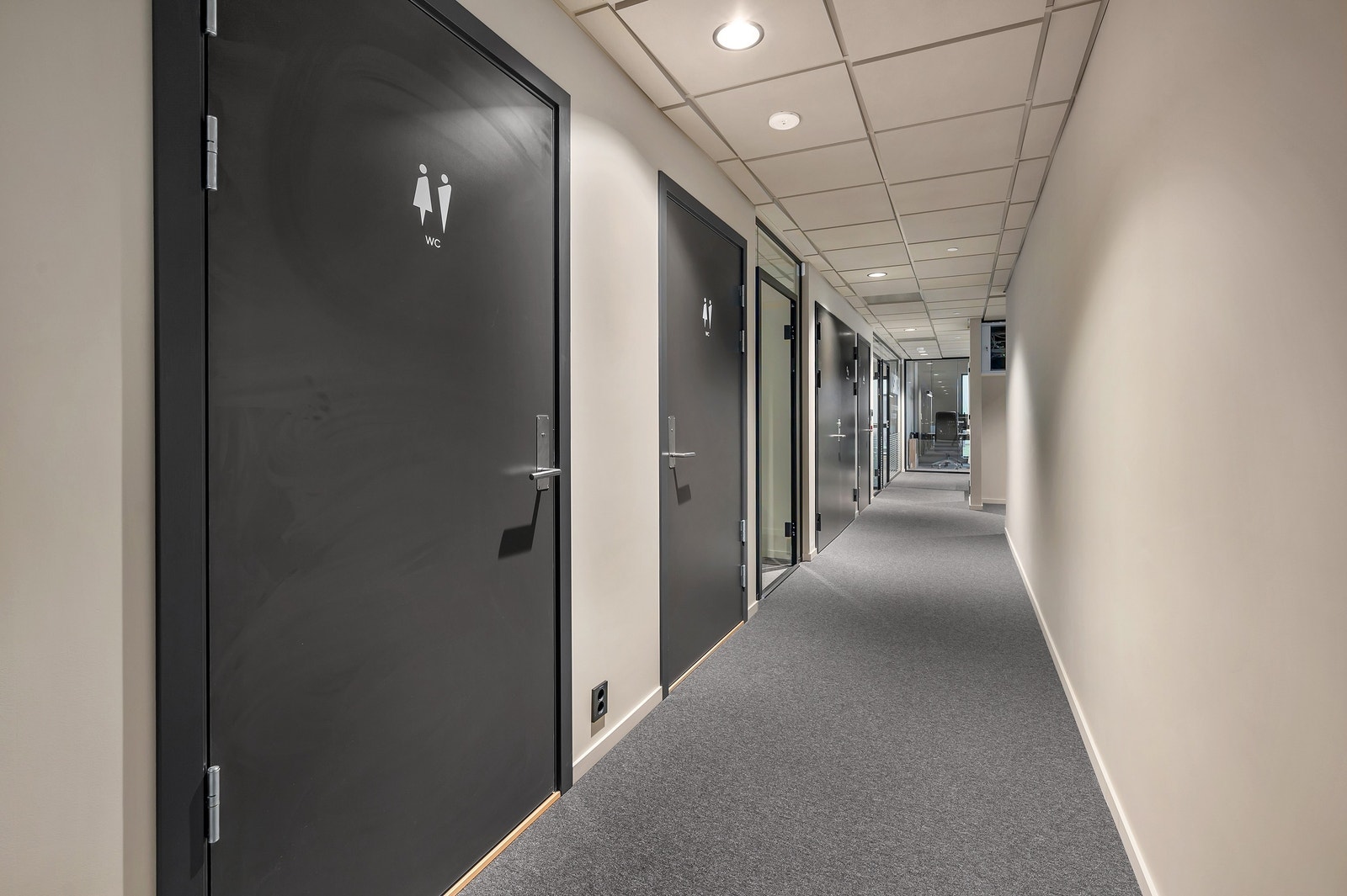 Fellesarealer Galleribilde