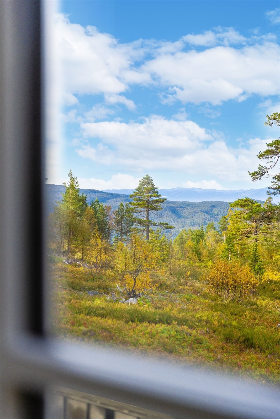 Hyggelig utsyn fra stuen mot vest Galleribilde
