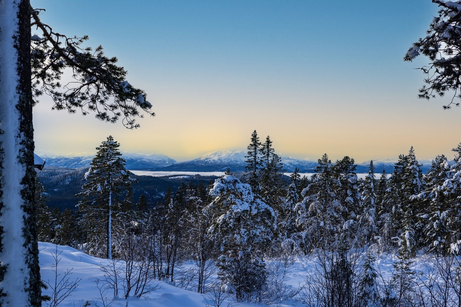 Hyggelig utsikt vestover Galleribilde