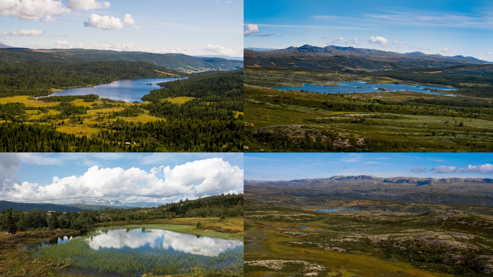 Området er fullt av flotte turmuligheter, året rundt Galleribilde