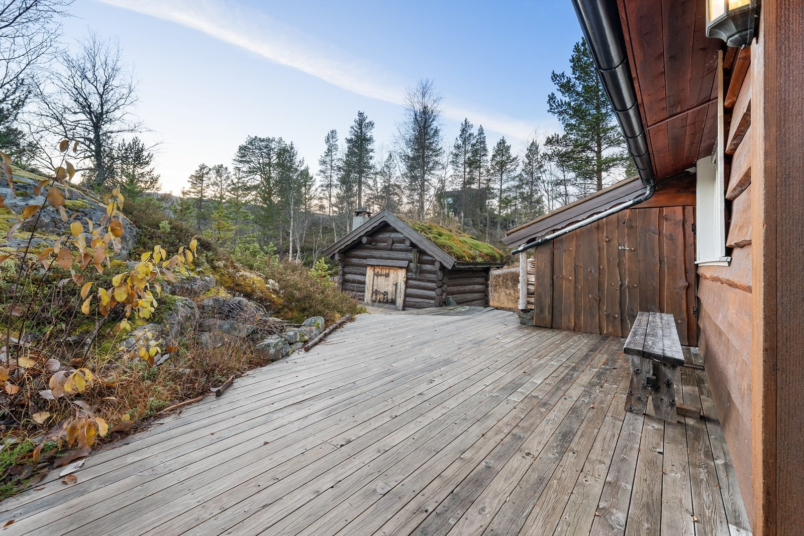 311830_DSC06721.jpg Galleribilde