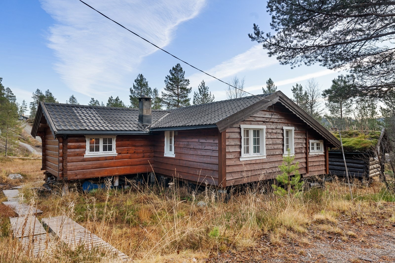 311830_DSC06576.jpg Galleribilde