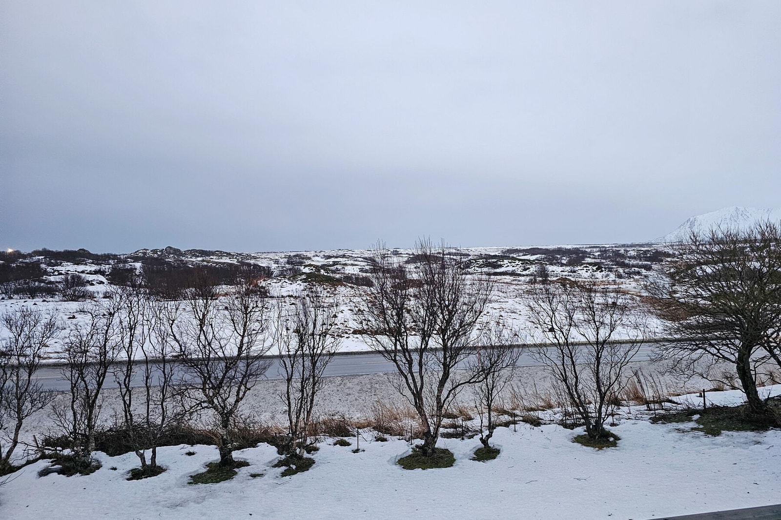 Velkommen til visning! Galleribilde