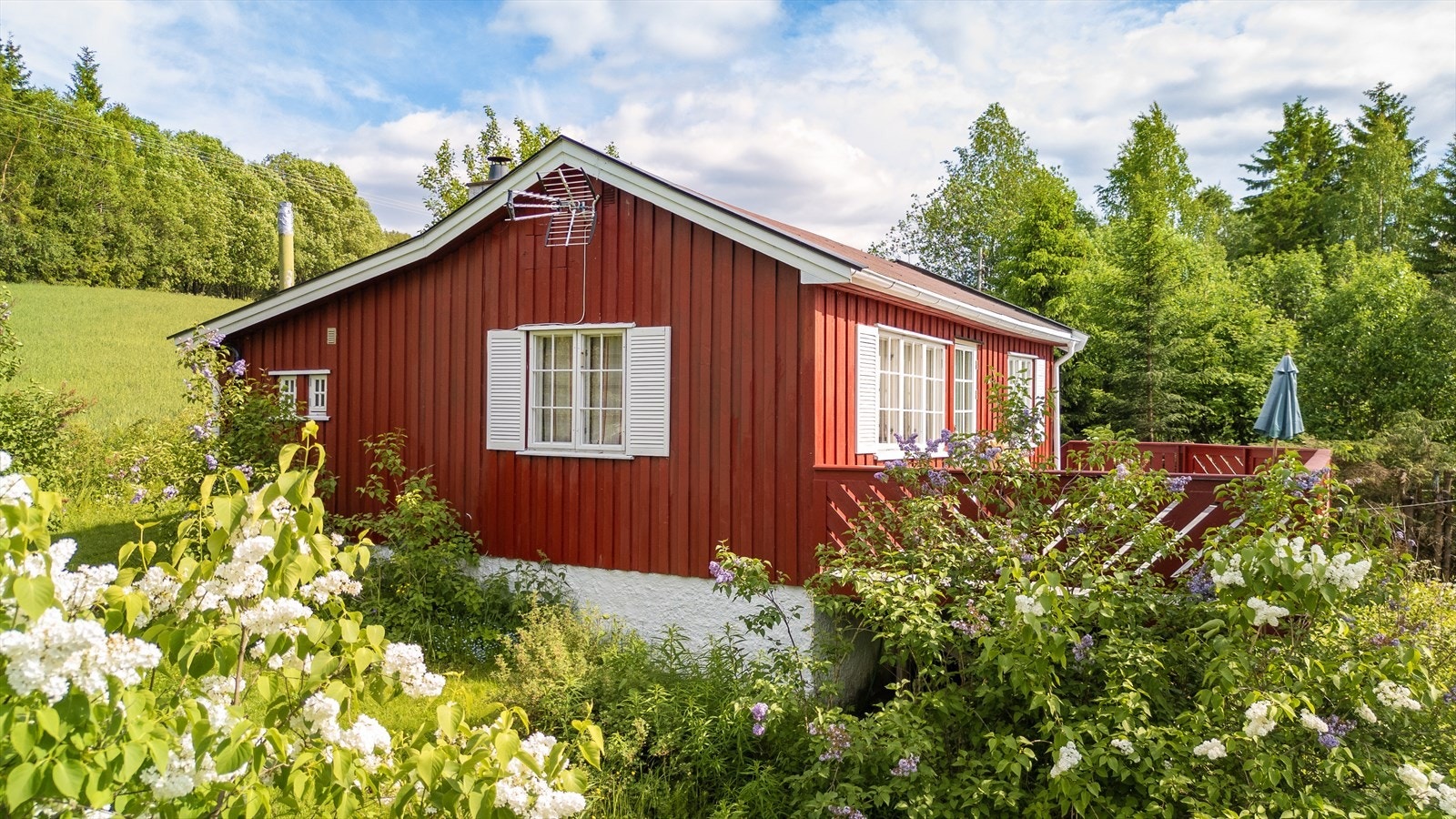 Usjenert, men likevel nær til alt. Galleribilde