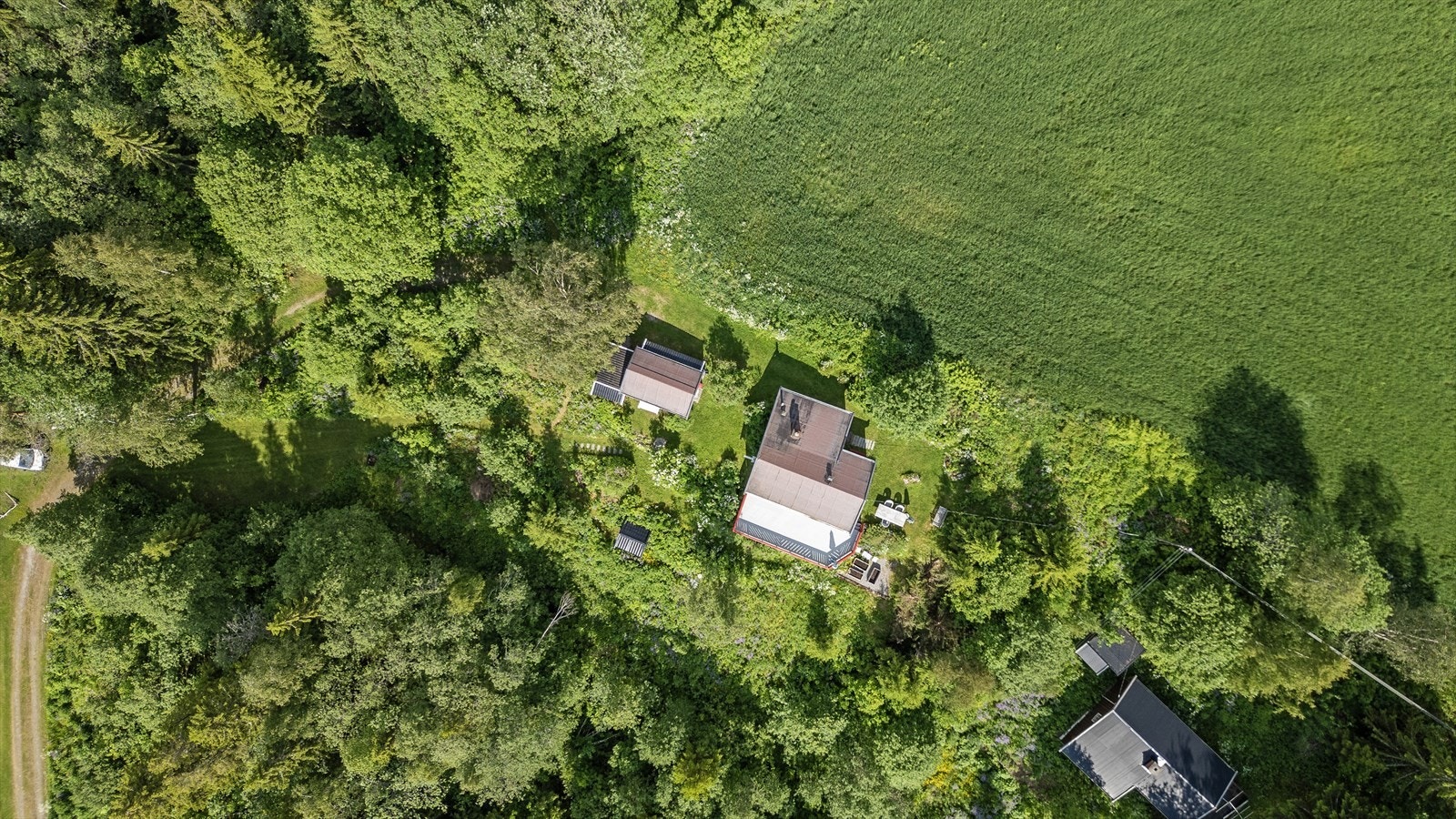 Tomtearealer. Galleribilde