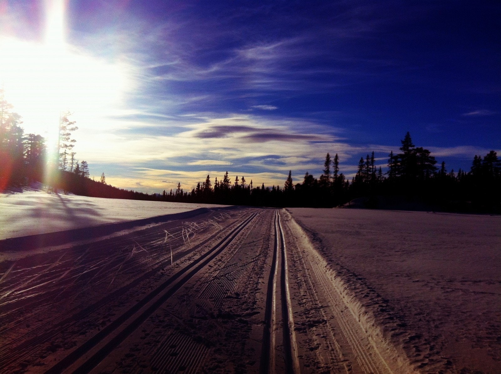 Milevis med flotte skiløyper i nærområdet vinterstid. Galleribilde
