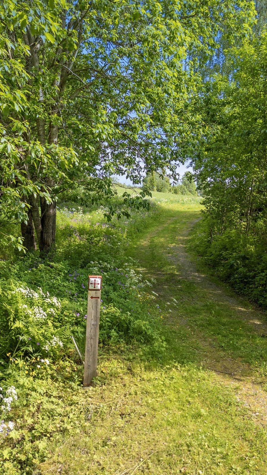 Pilgrimsleden inntil eiendommen. Gode turmuligheter i området. Galleribilde