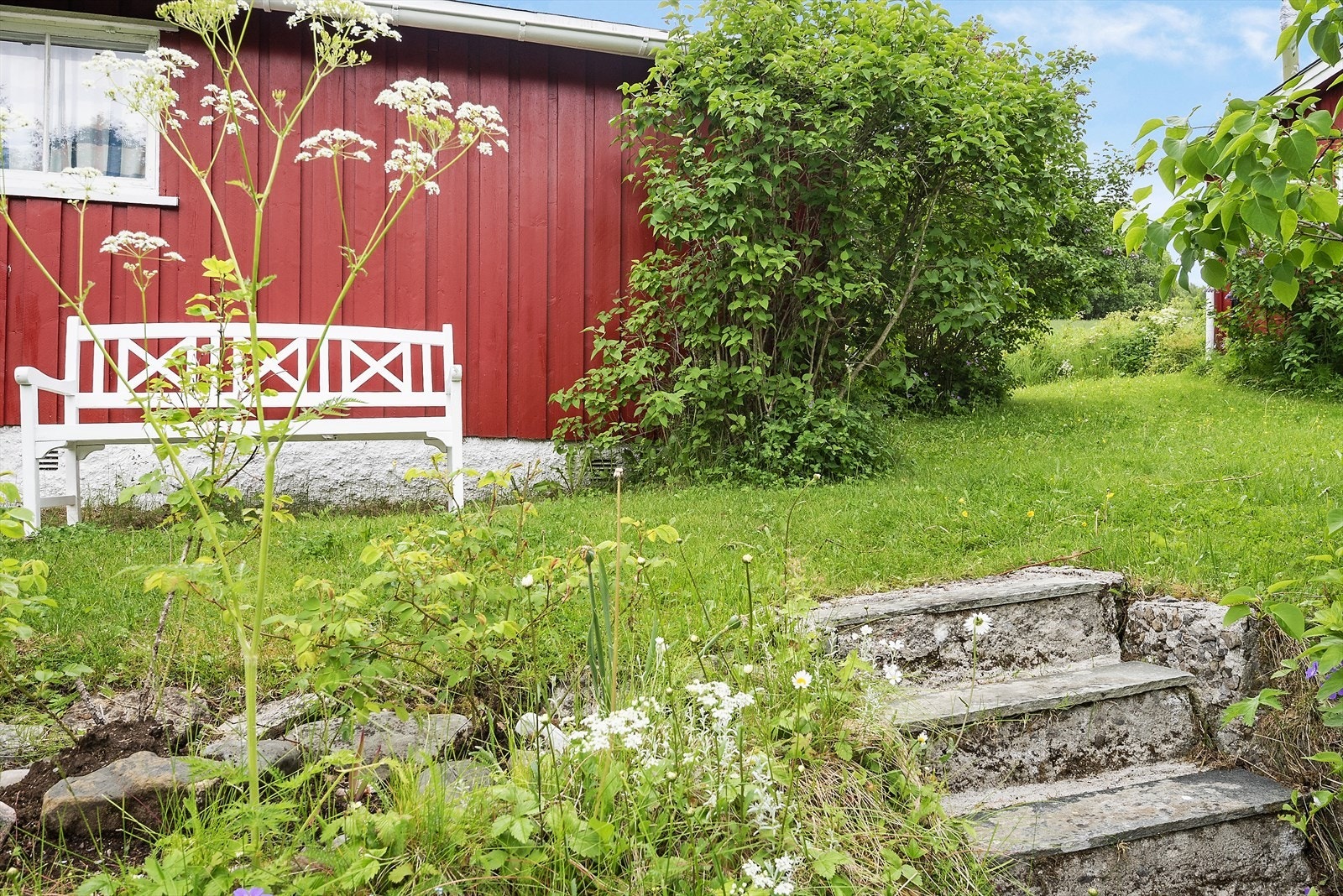 Tomt med plen og beplantning. Galleribilde