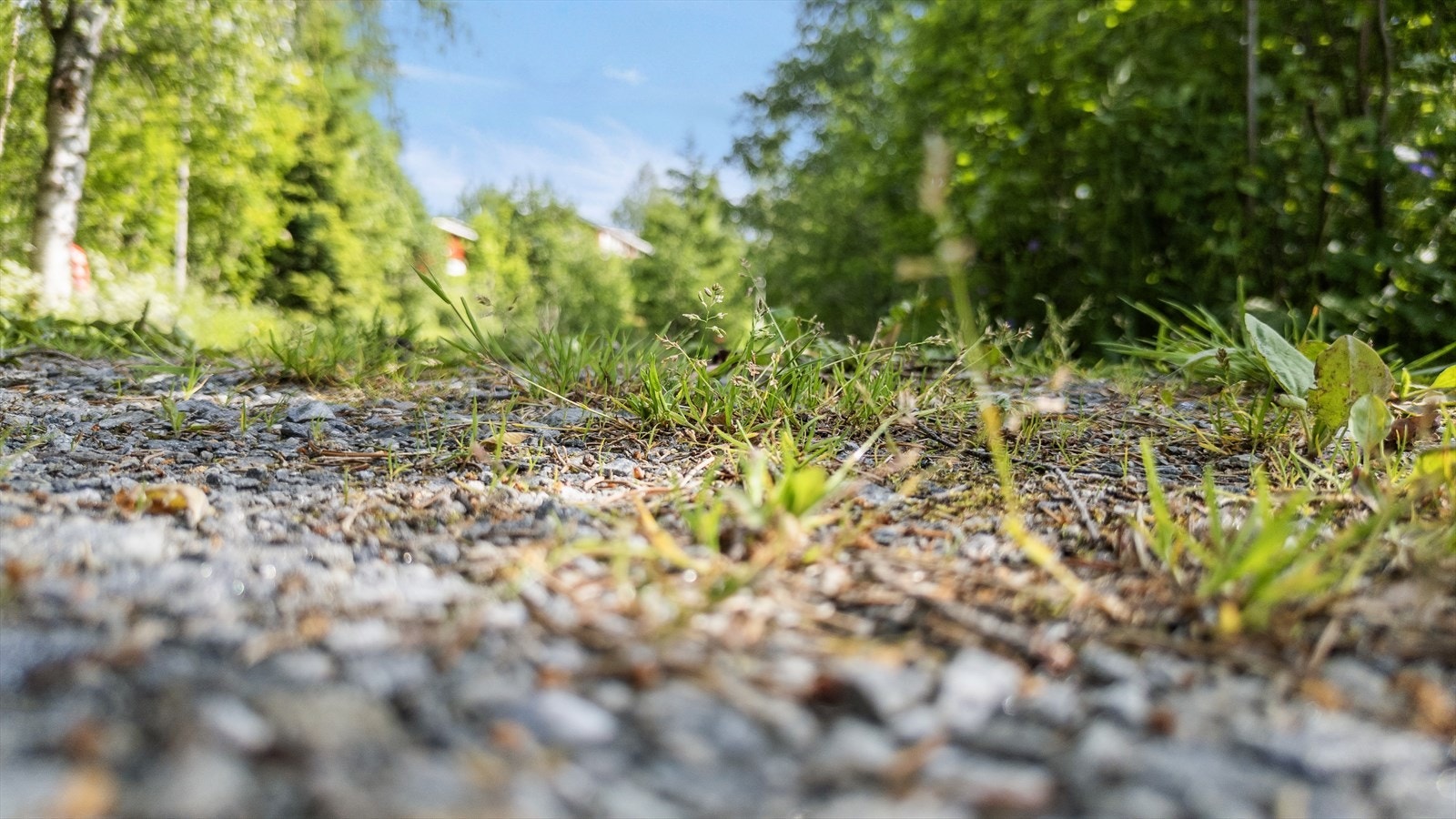 Ro i sjela. Galleribilde