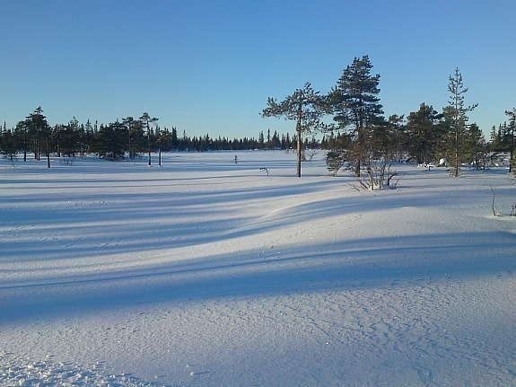 Den kalde fine tida. Galleribilde