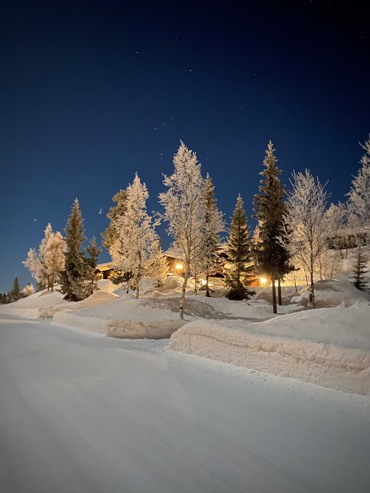 Med ski inn/ut-muligheter er veien kort til alpinanlegget og langrennsløypene. Privat foto. Galleribilde