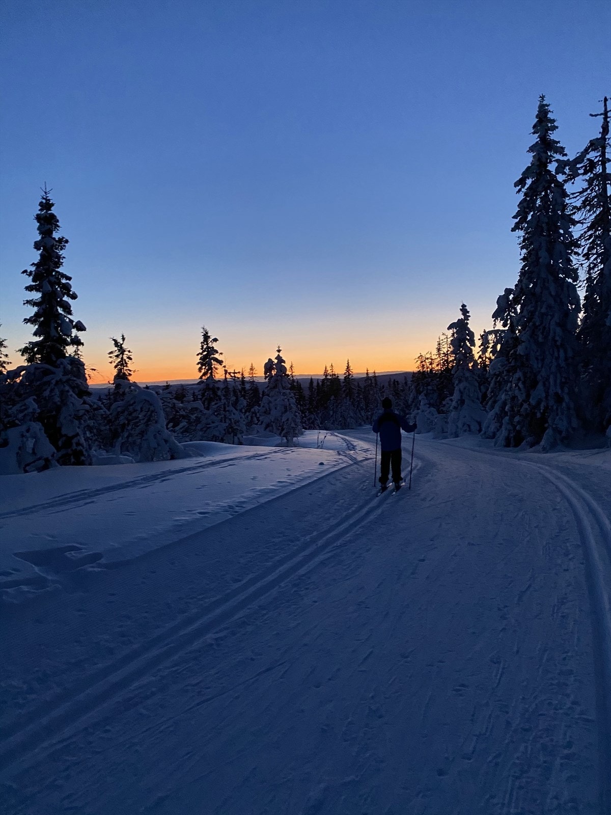Langrennsløper kun 100 meter fra hyttedøra. Privat foto. Galleribilde
