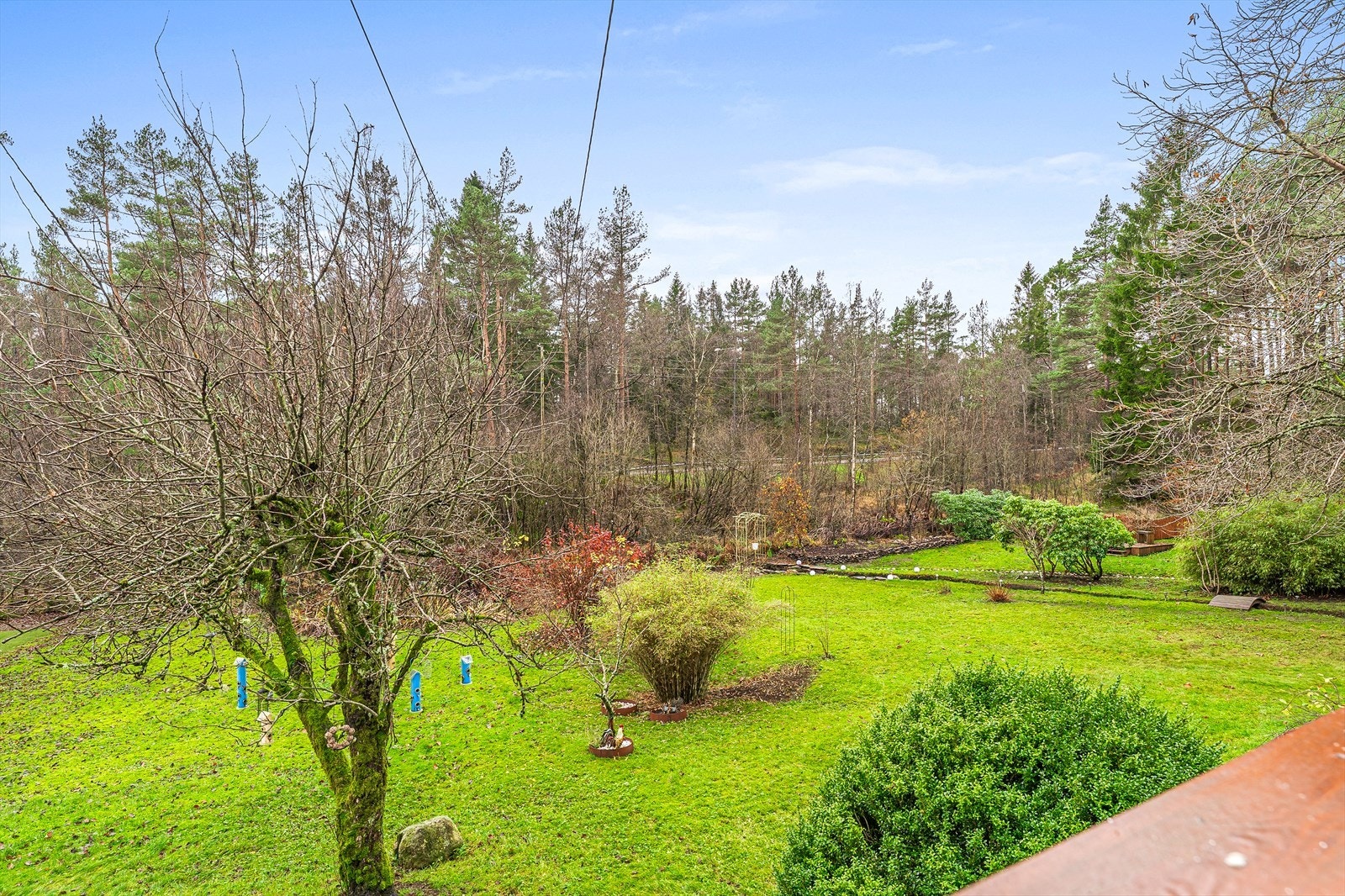 Hagen er opparbeidet med et stort utvalg av prydbusker, frukttrær og bærbusker Galleribilde