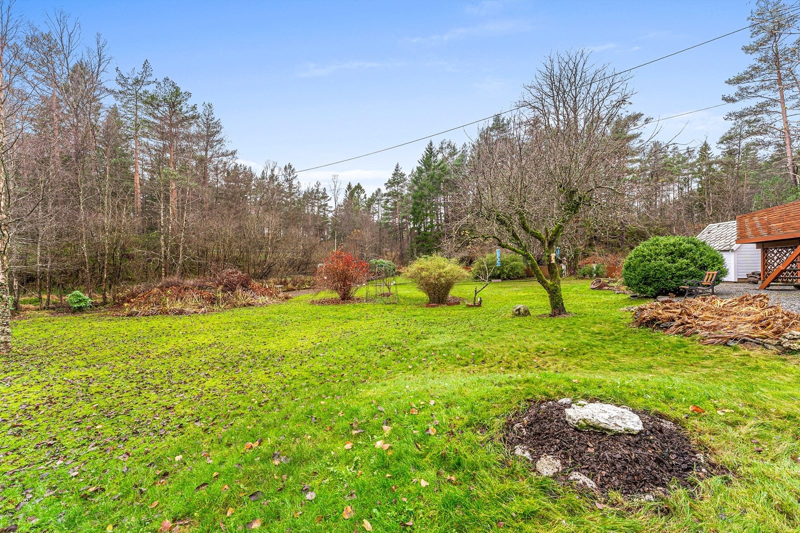 Vegetasjonen gir en fin skjerming mot veien Galleribilde