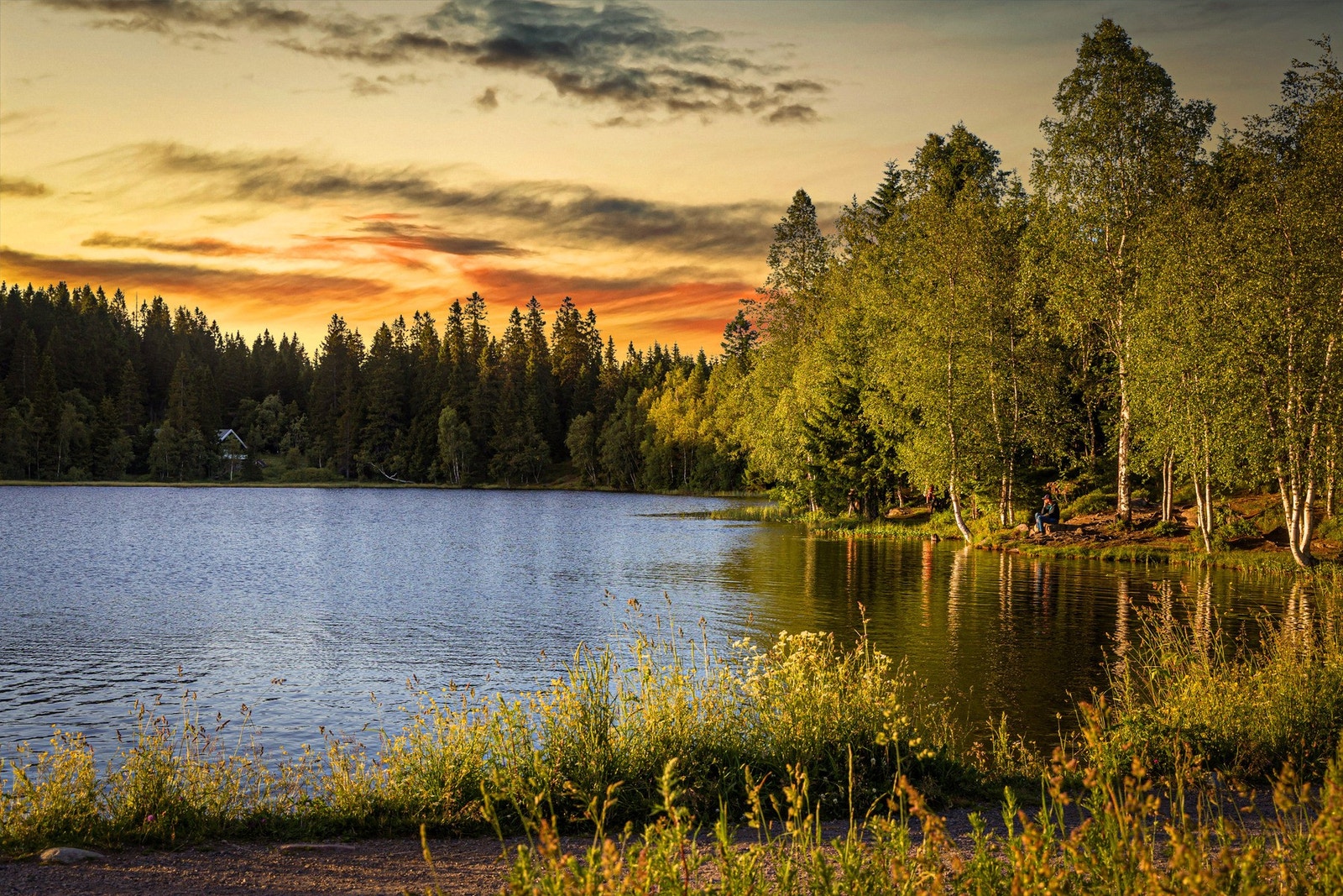 Nærområdet. Bærumsmarka rett utenfor stuedøren din, med tur-, trening- og rekreasjonsmuligheter sommer som vinter. Galleribilde