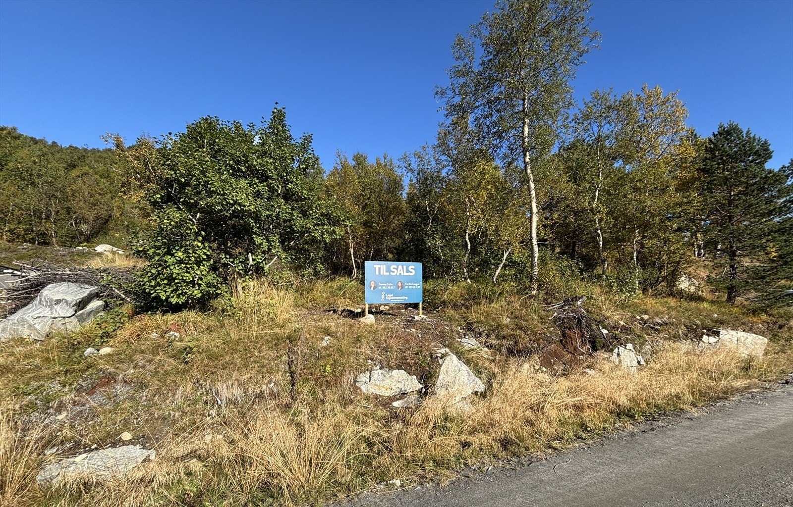 IMG_6399.jpg Galleribilde