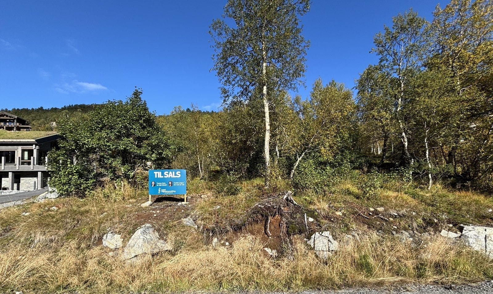 IMG_6402.jpg Galleribilde