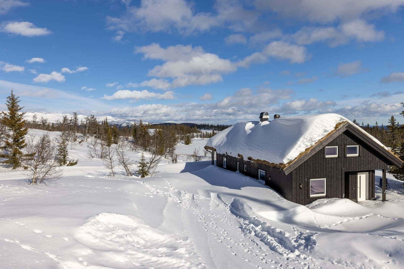Velkommen på visning! Galleribilde