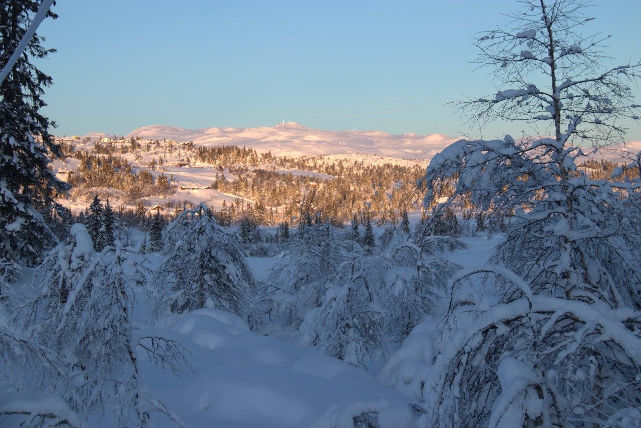 Det er kort vei opp til snaufjell med nydelig utsikt utover store fjellområder (Selgers foto) Galleribilde