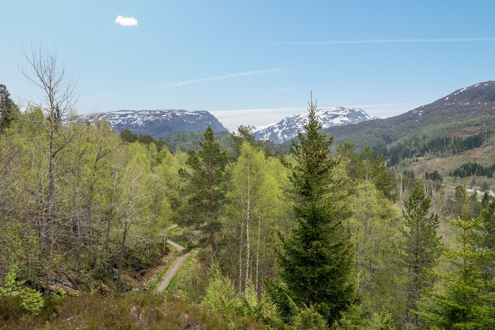 Naturtomt på høyde med nydelig utsikt Galleribilde