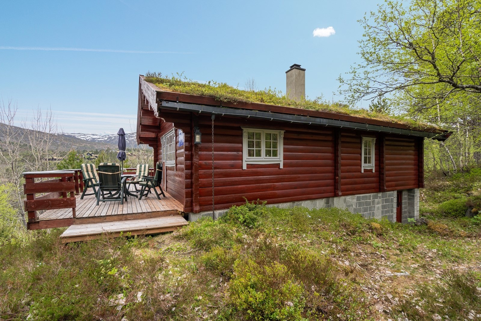 Oppført i klassisk laftet stil, med torvtak Galleribilde