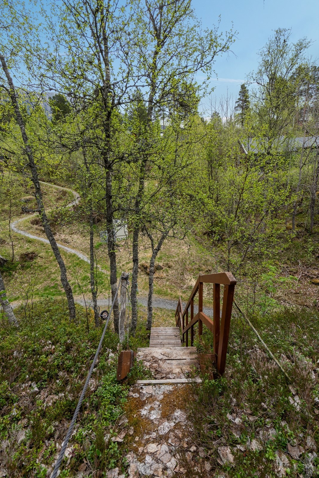 Trapp fra sti Galleribilde