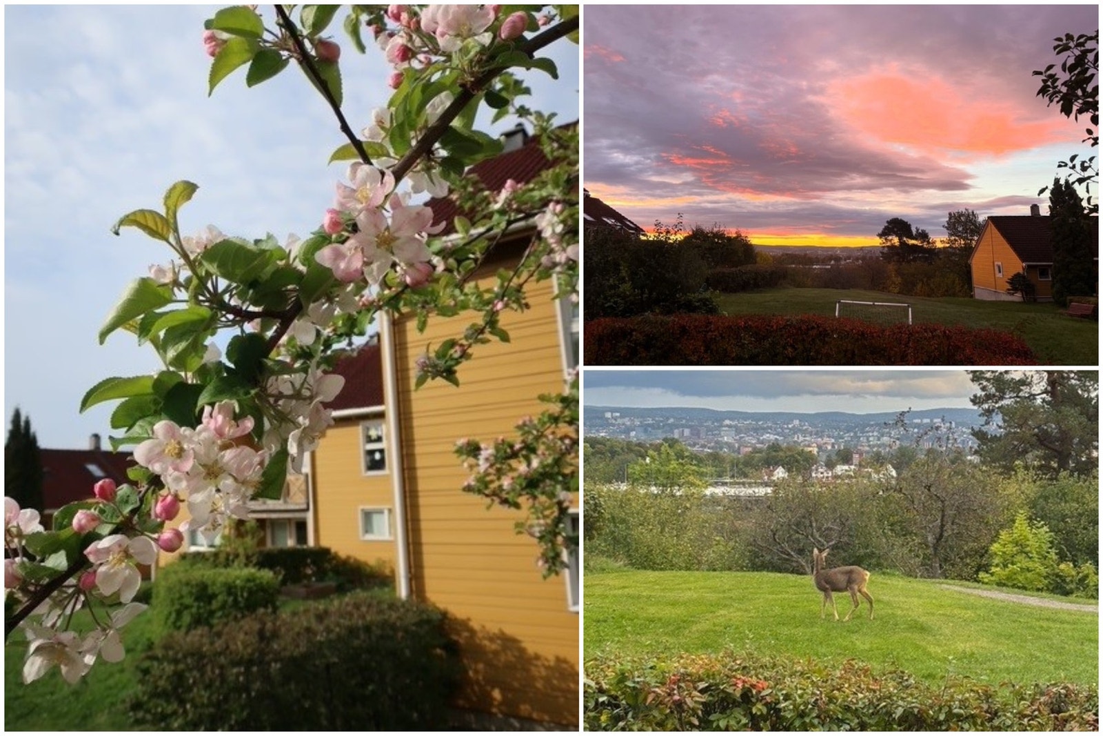 Privat bilde. Galleribilde