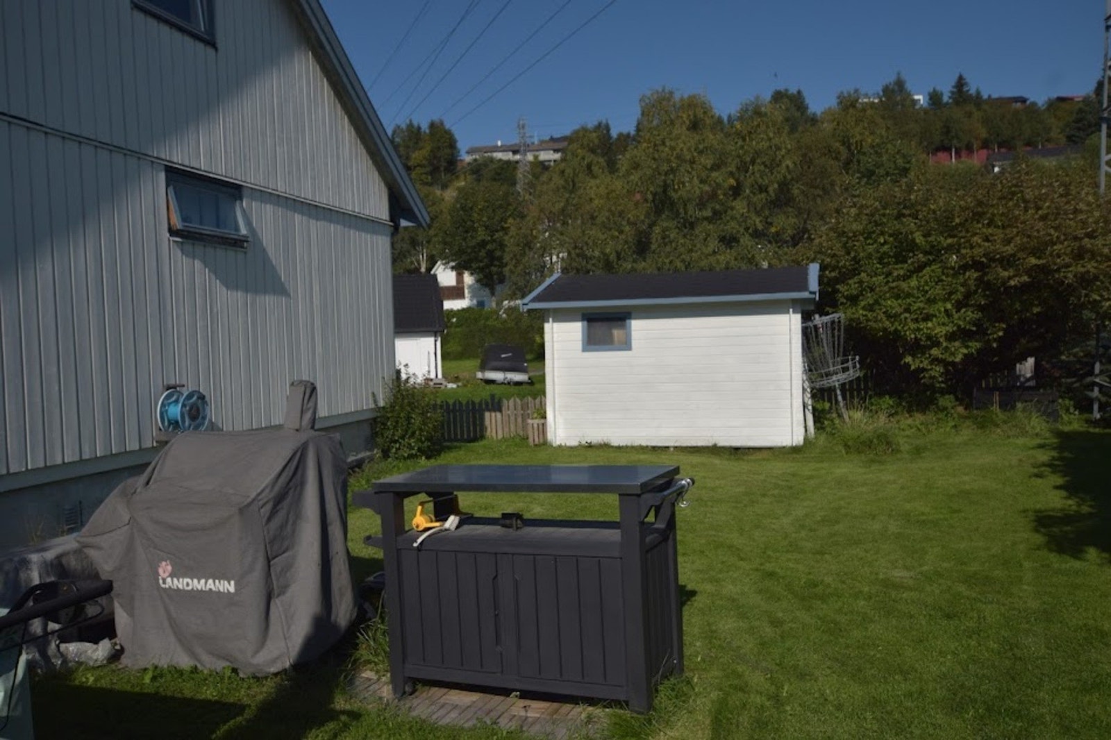 Selgers bilder. Galleribilde