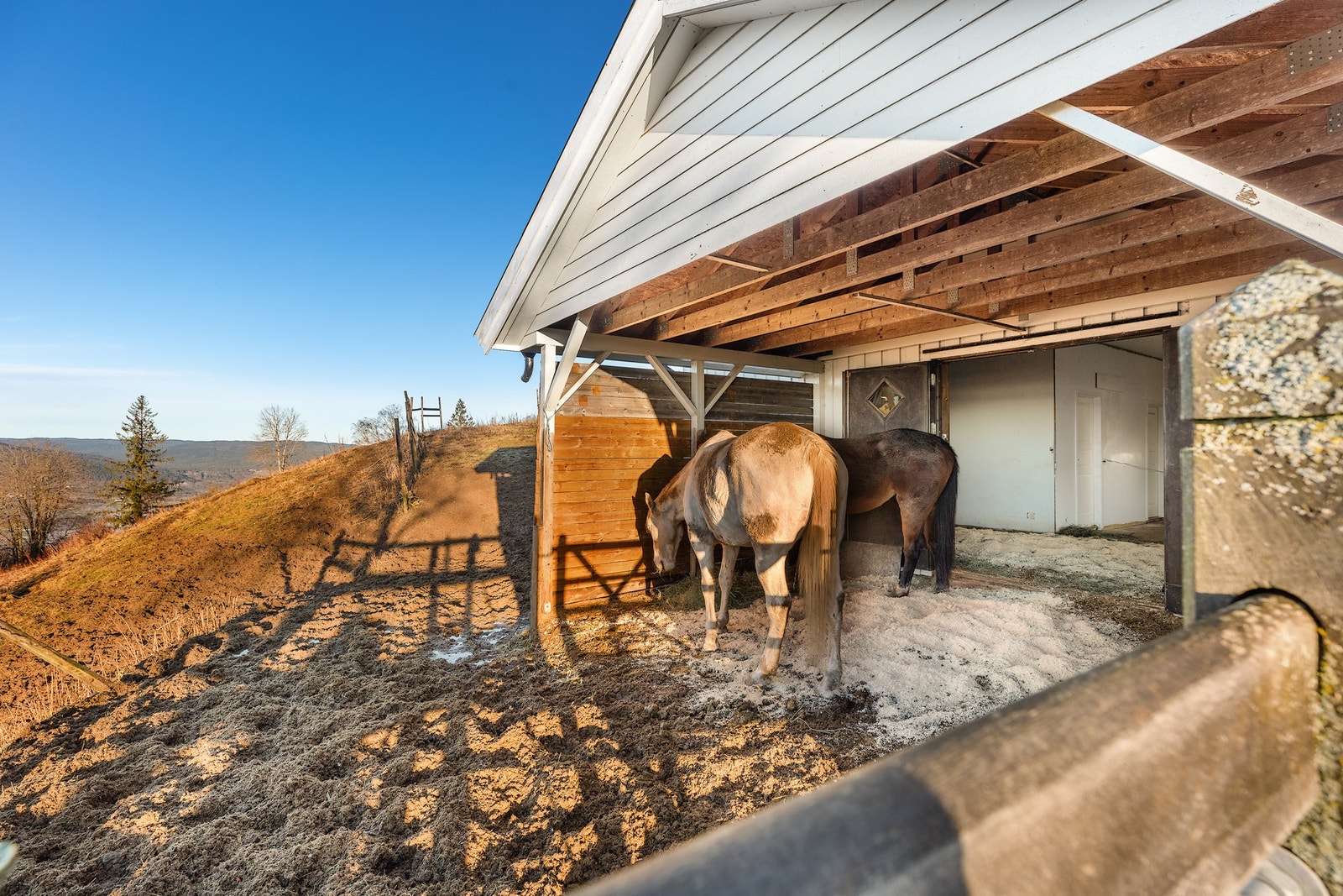 Det er sørget for innhengning i tilknytning til overbygget i stallen, med dør rett inn til stallrommet innenfor. Galleribilde