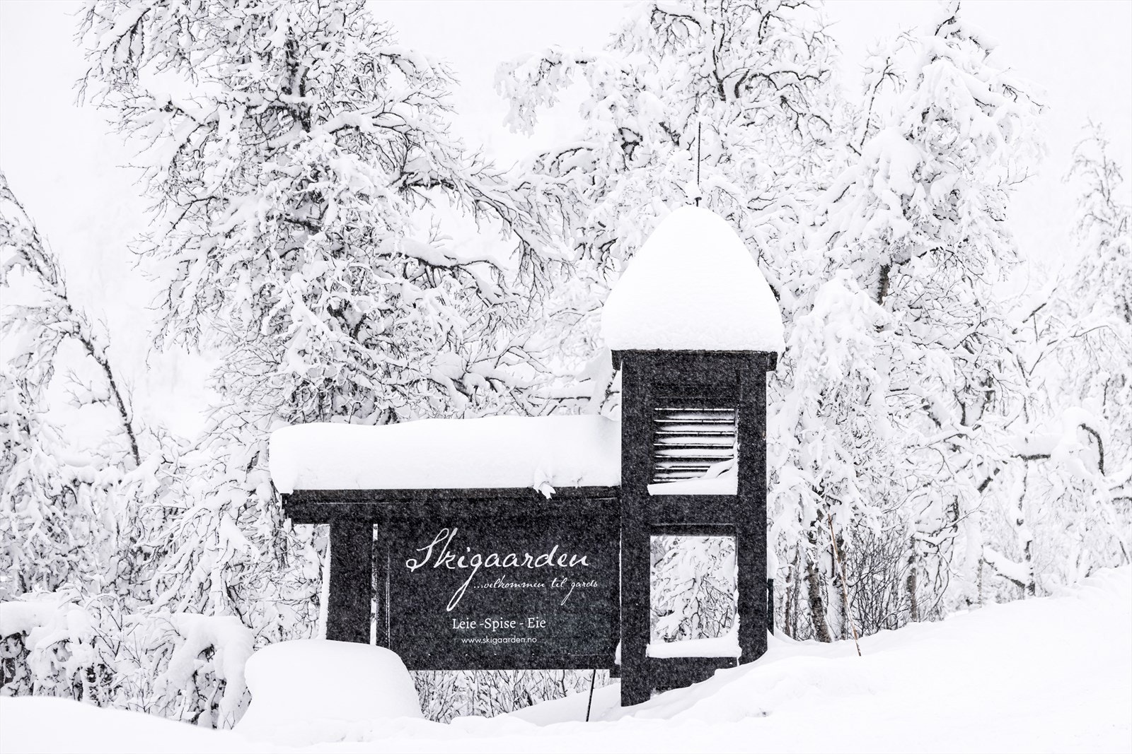 Høyt til værs, i hjertet av Hemsedal Skisenter. Her finner du Skigaarden. Foto: Aurelijus Norvaisas. Galleribilde