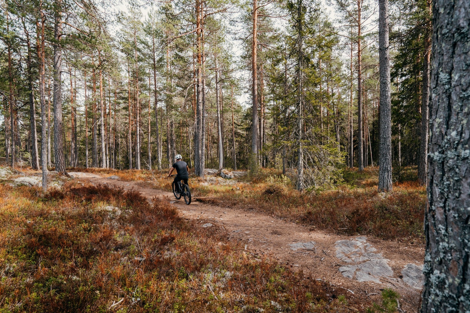 Ideelt for både løping, sykling og skiturer Galleribilde