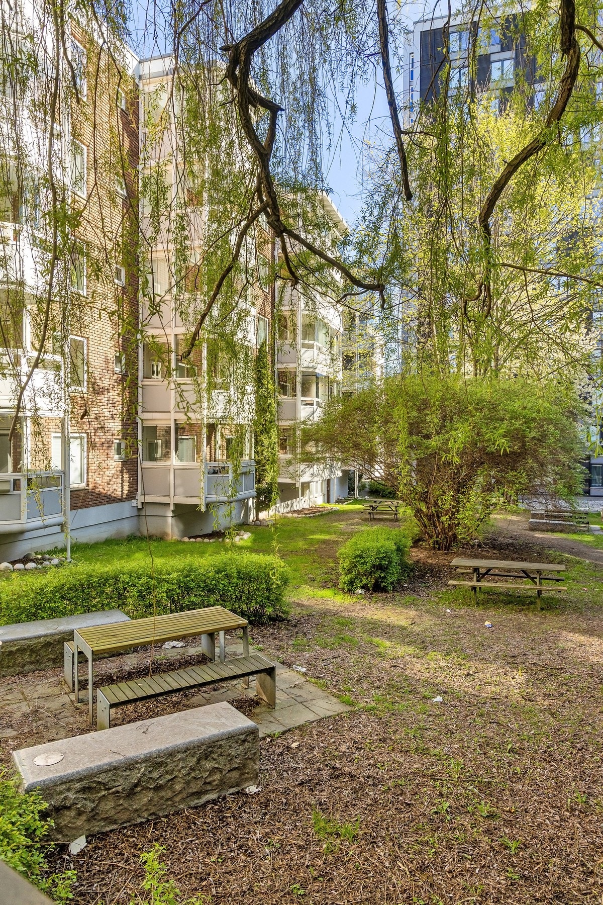 Hyggelig bakhage med et nydelig piltre. Sitteplasser til beboerne. Galleribilde