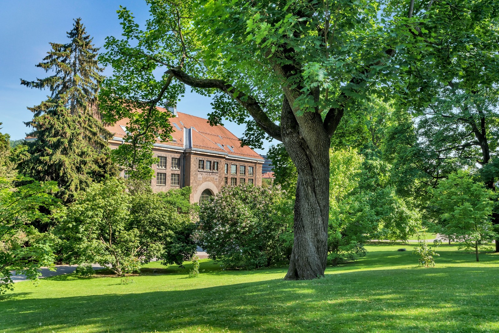 Norges eldste botaniske hage med et rikt planteutvalg fra ulike klima. Galleribilde
