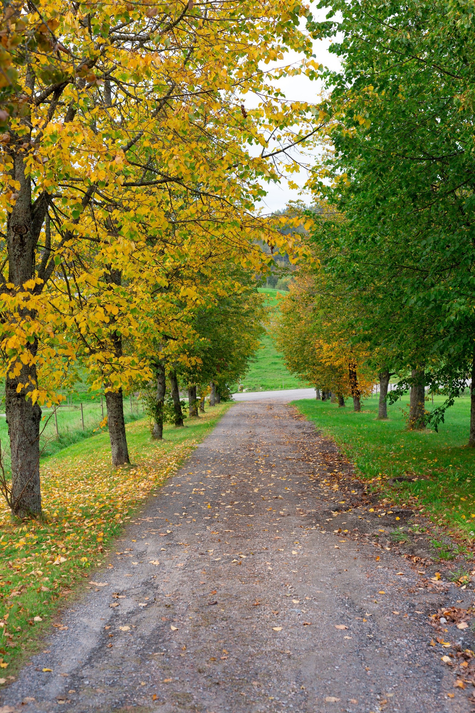 Velkommen! Galleribilde