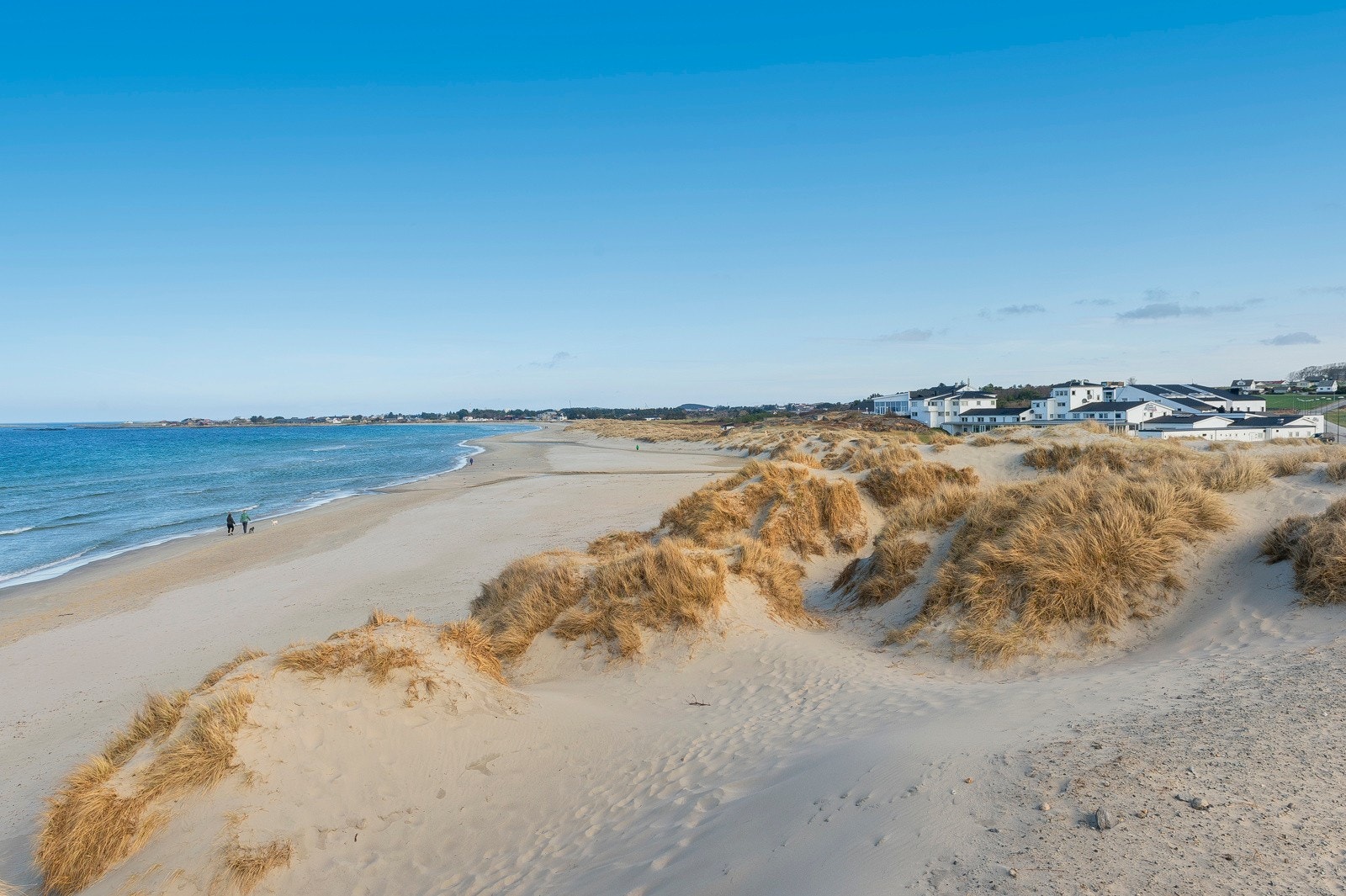 Nærområde Galleribilde