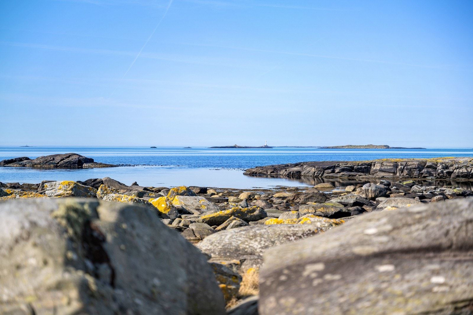 Nærområde Galleribilde