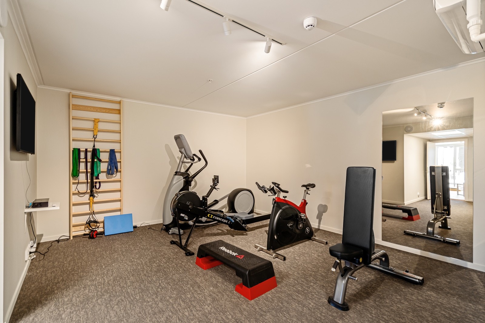 Felles trimrom Galleribilde