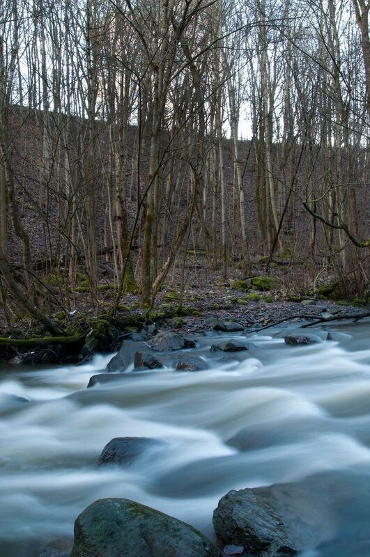 Stien slynger seg gjennom frodig natur og følger elvas sildrende løp, noe som skaper en harmonisk ramme for både rolige spaserturer og aktive joggeturer. Galleribilde