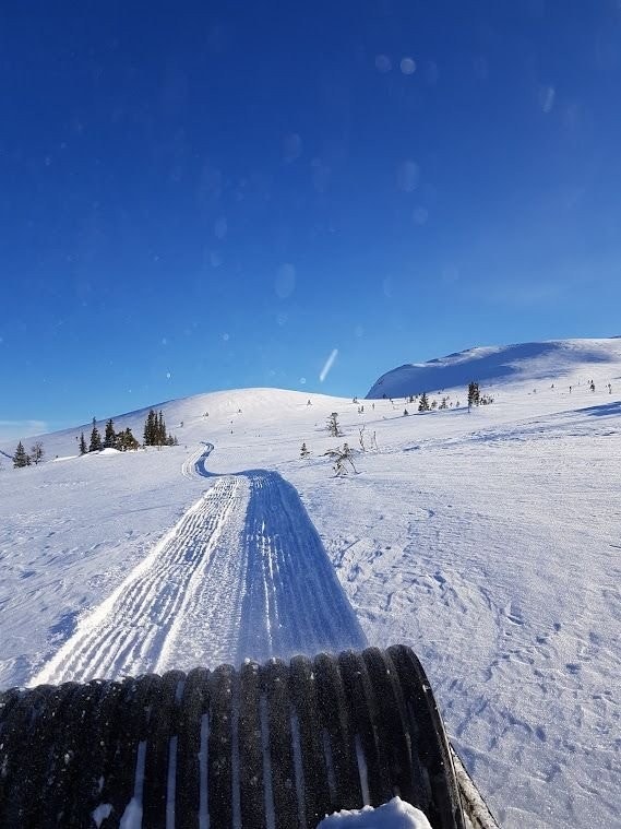 Løypetrase øvre fjellparti 1200moh Galleribilde