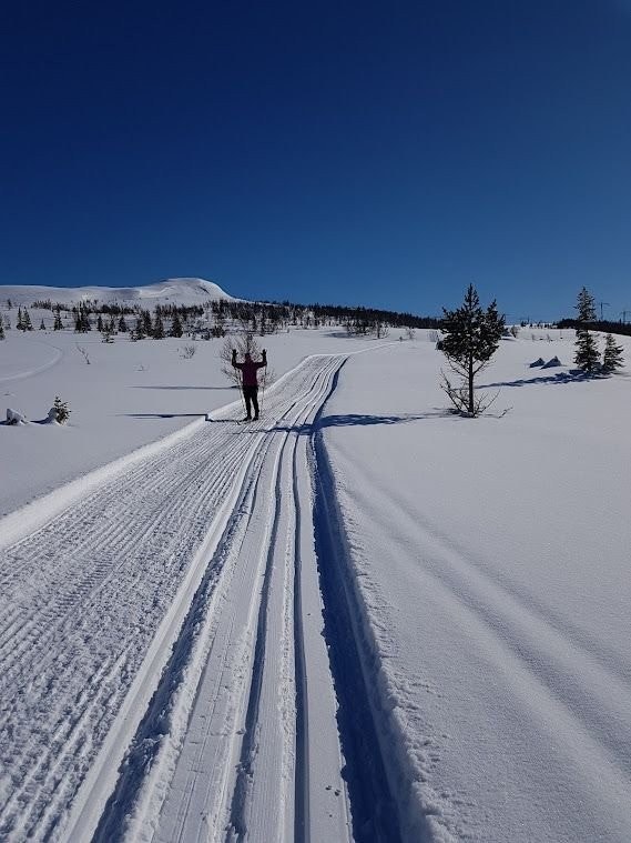 Til fjells Galleribilde