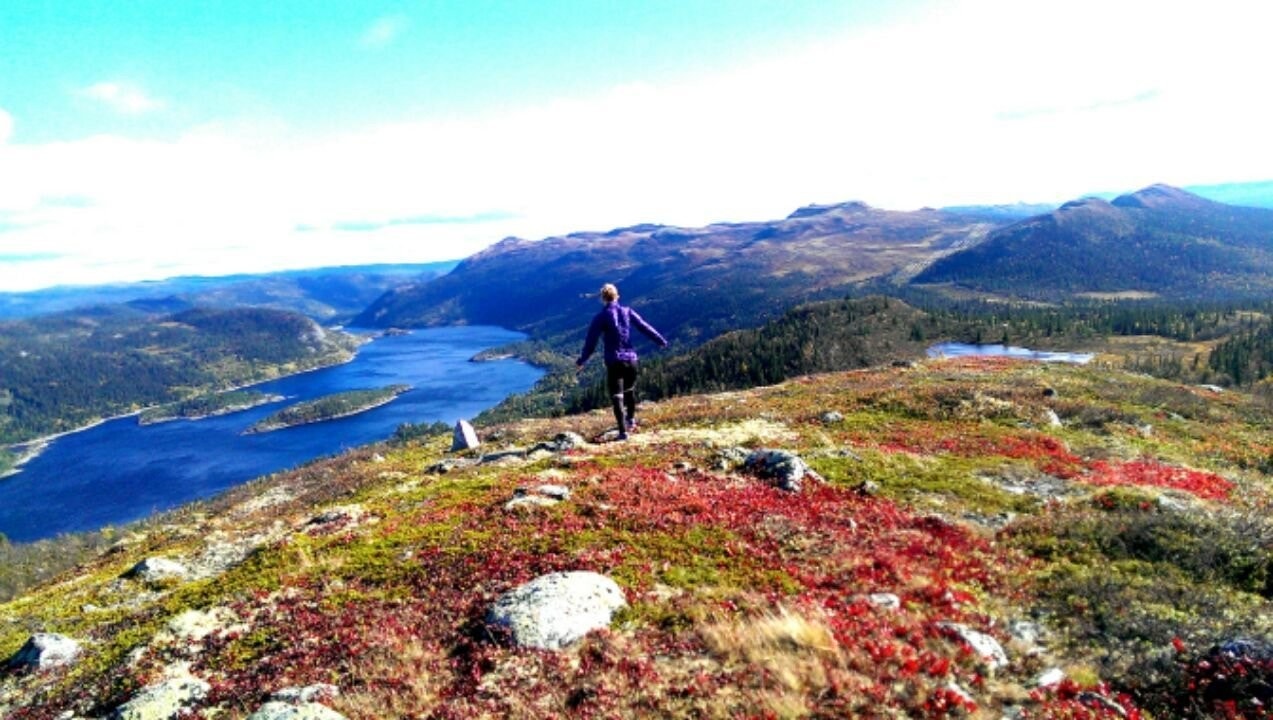 Utsikt fra Blånuten Galleribilde