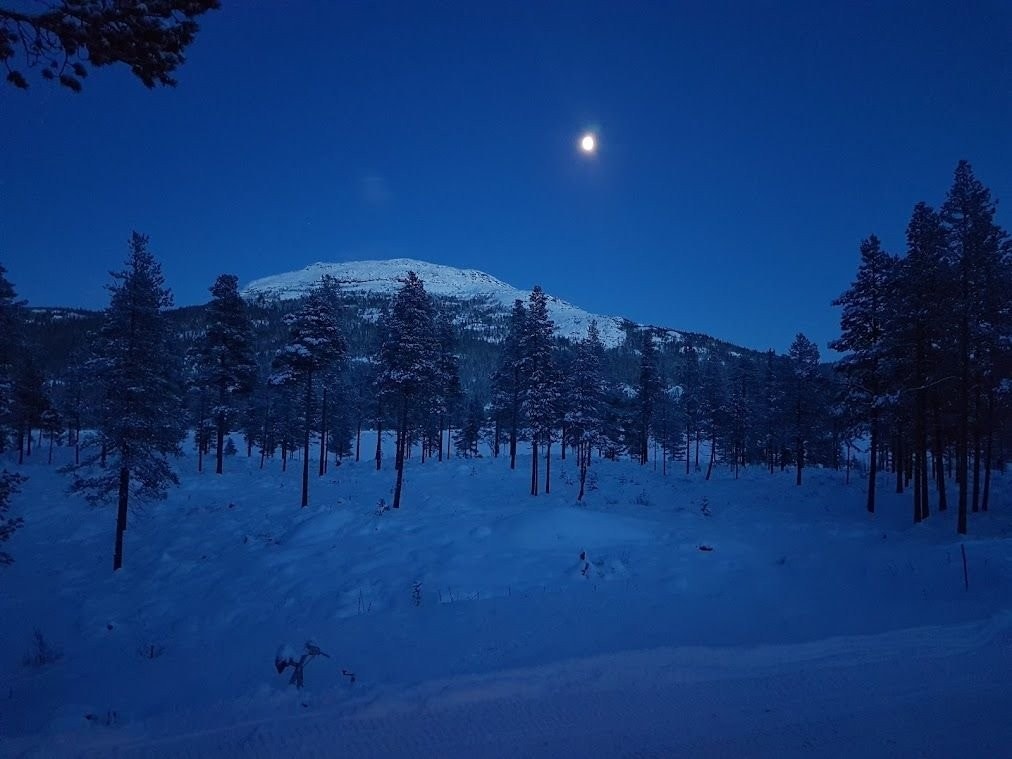 Den blå timen Galleribilde