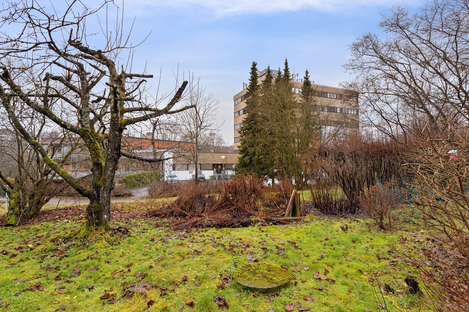 Nærmeste nabo til uteområdene er den bilfrie turstien langs Akerselva Galleribilde