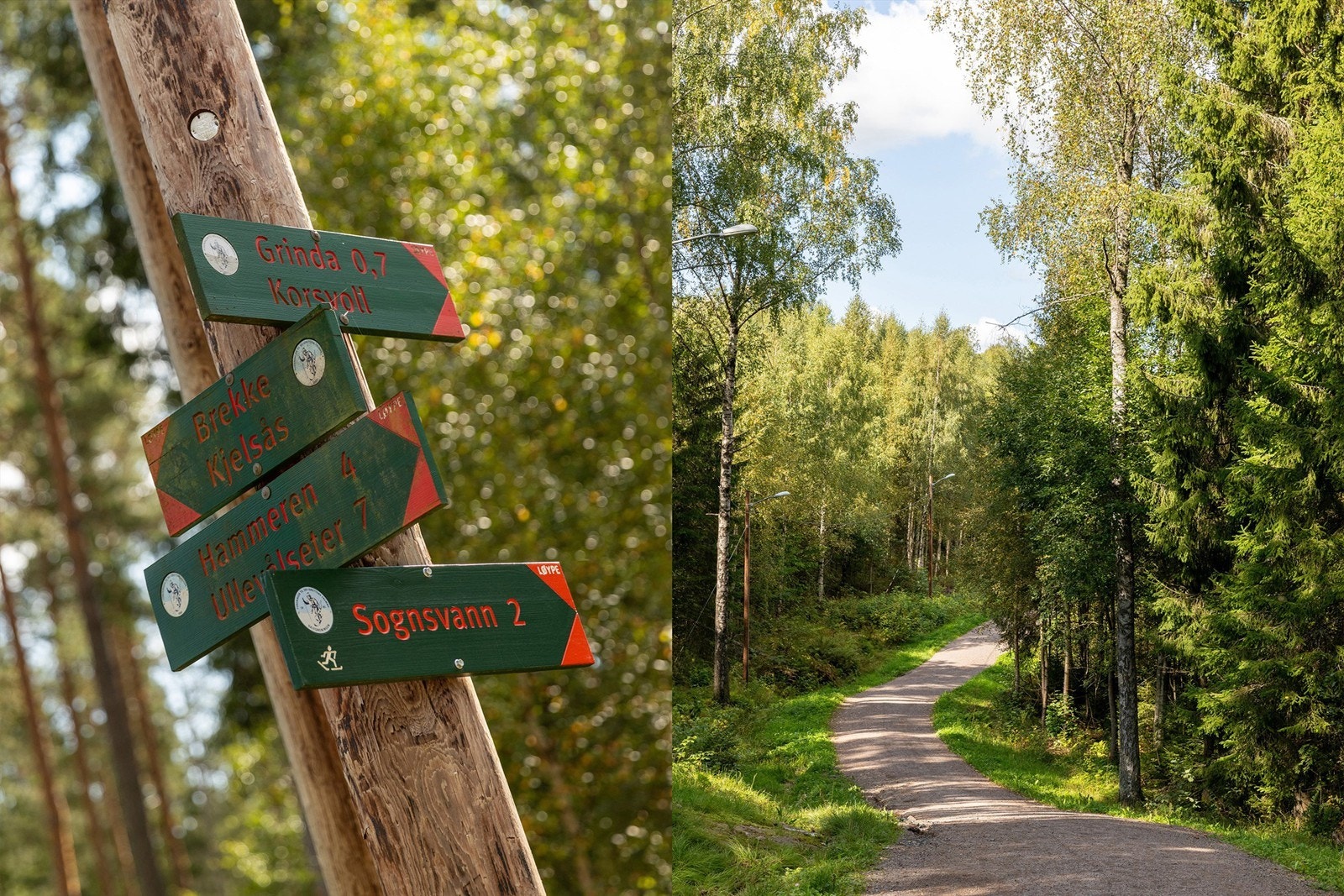 Kort vei til flotte turmuligheter året rundt Galleribilde